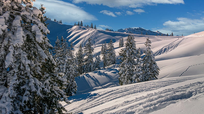 Mountain And Fir Trees Covered With Snow Under Blue Sky With Clouds During Winter Nature, HD wallpaper