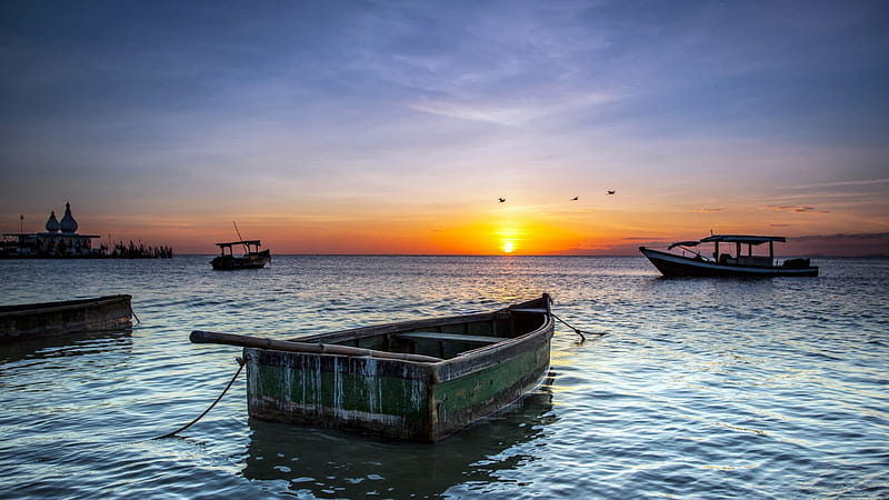 lovely sunset over a seashore, horizon, boats, birds, sunset, sea, HD wallpaper