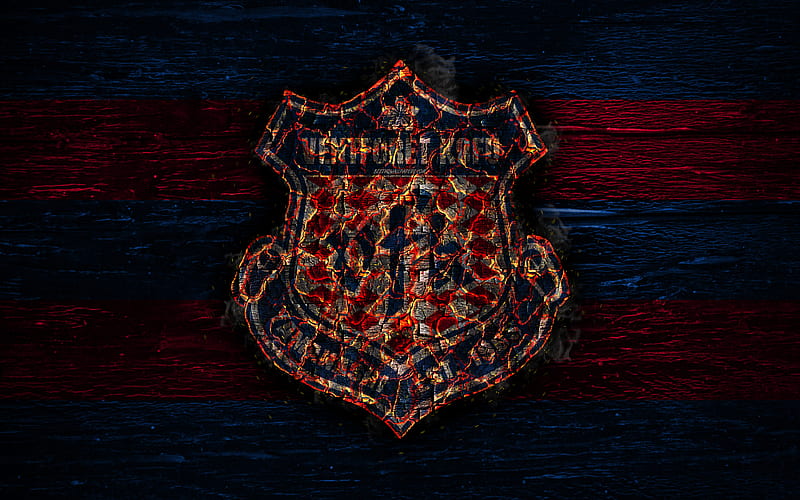 Ventforet Kofu FC fire logo, J-League, Japanese football club, grunge ...