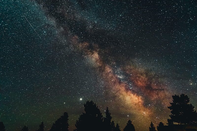 trees, nebula, starry sky, stars, night, HD wallpaper
