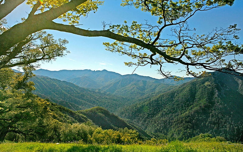 A view of Adler Ranch, Big Sur, california, sky, trees, landscape, usa, HD wallpaper
