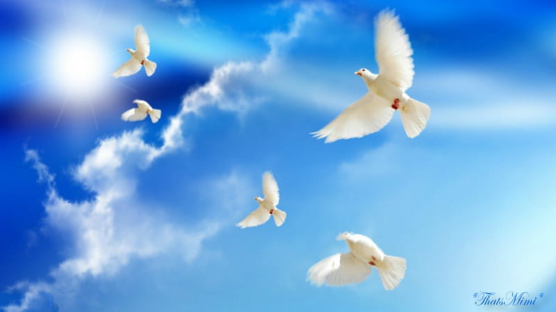 ~*~ Doves Peace ~*~, doves, peace, clouds, sky, blue, HD wallpaper