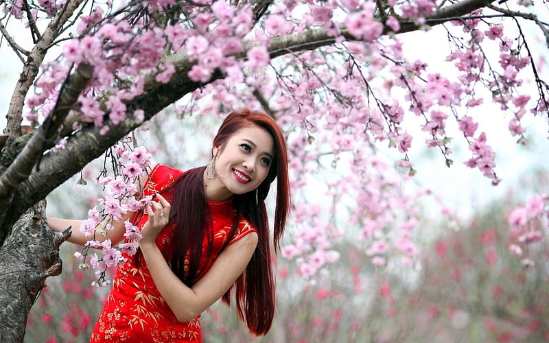 Smiling to the spring, red, model, spring, woman, tree, blossom, girl ...