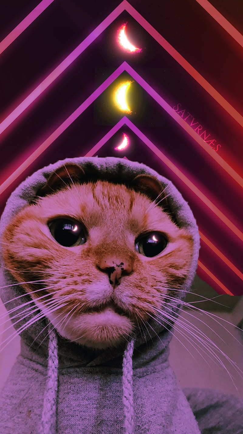 Swag Hoodie Cat, funny, glitch, kitten, meme, moon, neon, vaporwave, HD phone wallpaper