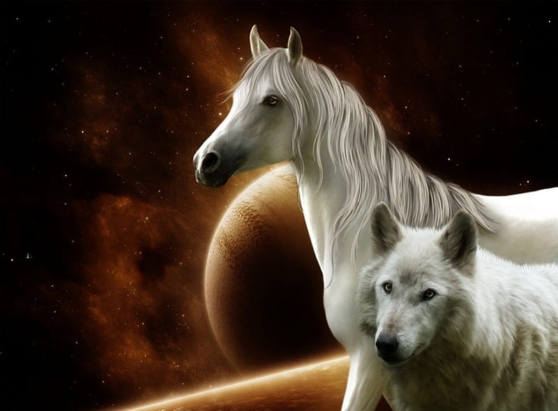 Caballo y lobo, luna, lobo, caballo, noche, Fondo de pantalla HD | Peakpx