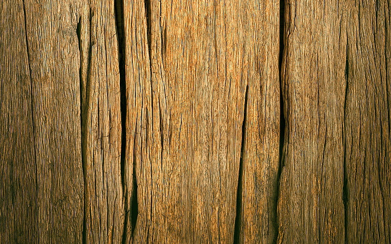 Cracked wooden texture, macro, vertical wooden texture, brown wooden  background, HD wallpaper | Peakpx