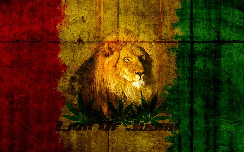 lion of judah, rasta, jah, lion, judah, HD wallpaper