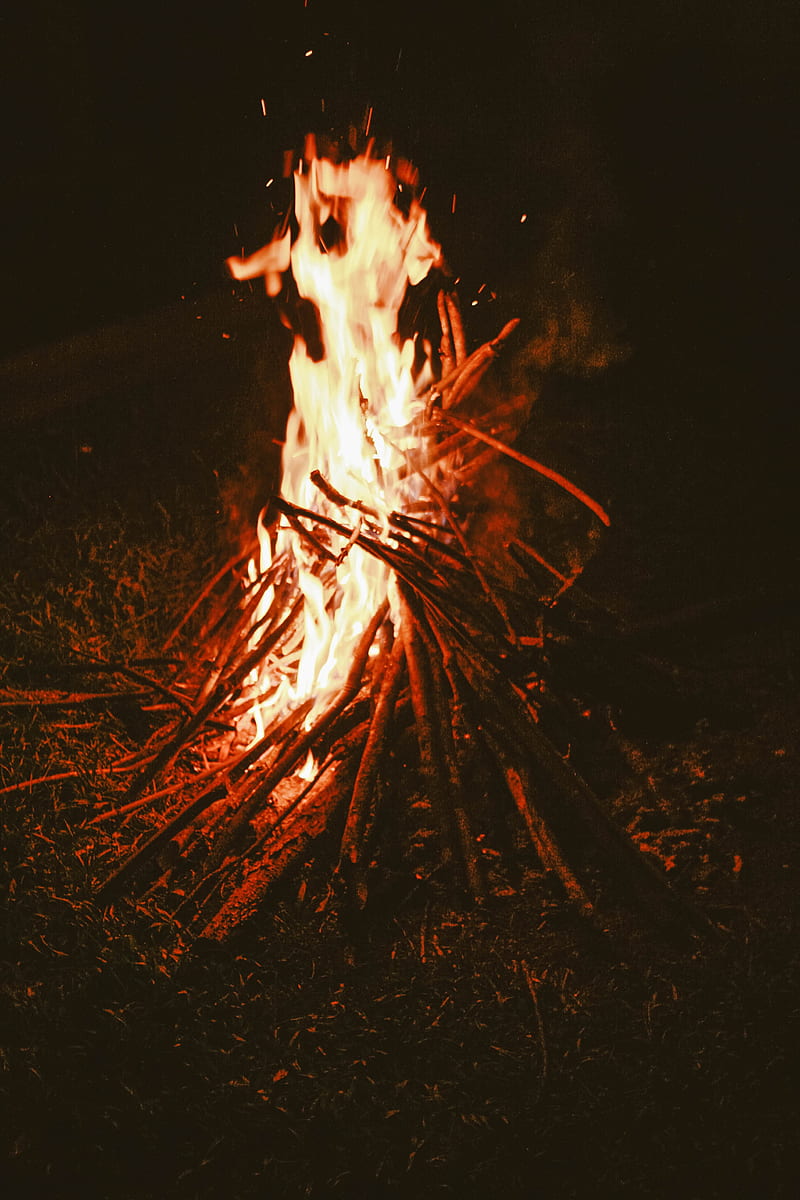 bonfire, fire, firewood, dark, HD phone wallpaper