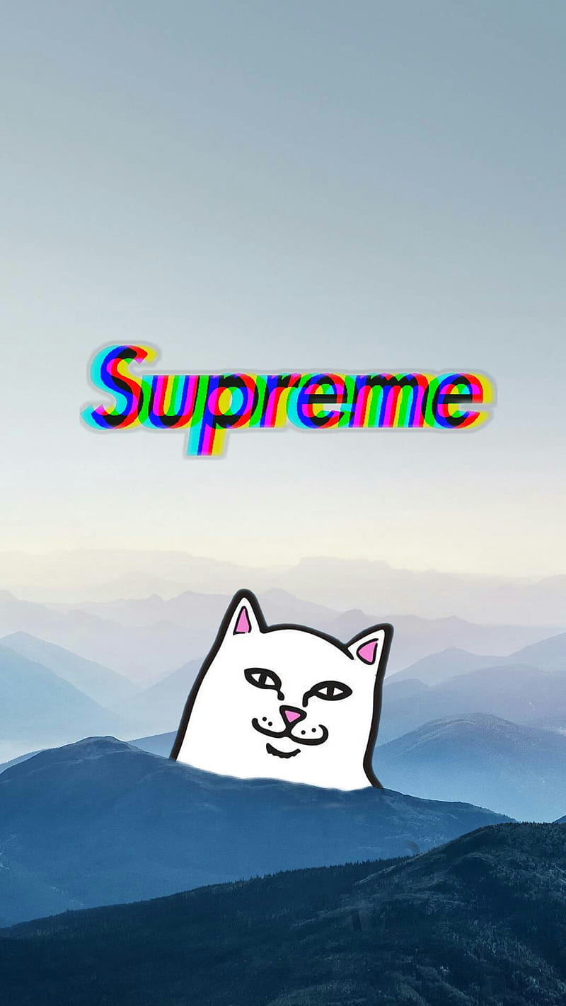 gato troll sumpre, android, colors, colors, fantastic, iphone, mountains, people, supreme, HD phone wallpaper