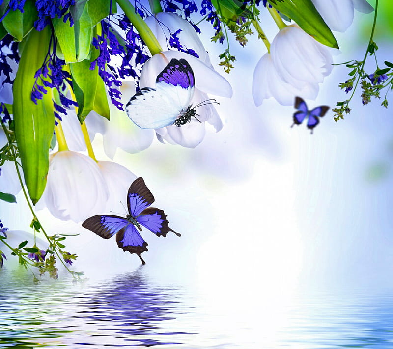 Mariposa, flores, jardín, naturaleza, agradable, cascadas, Fondo de  pantalla HD | Peakpx