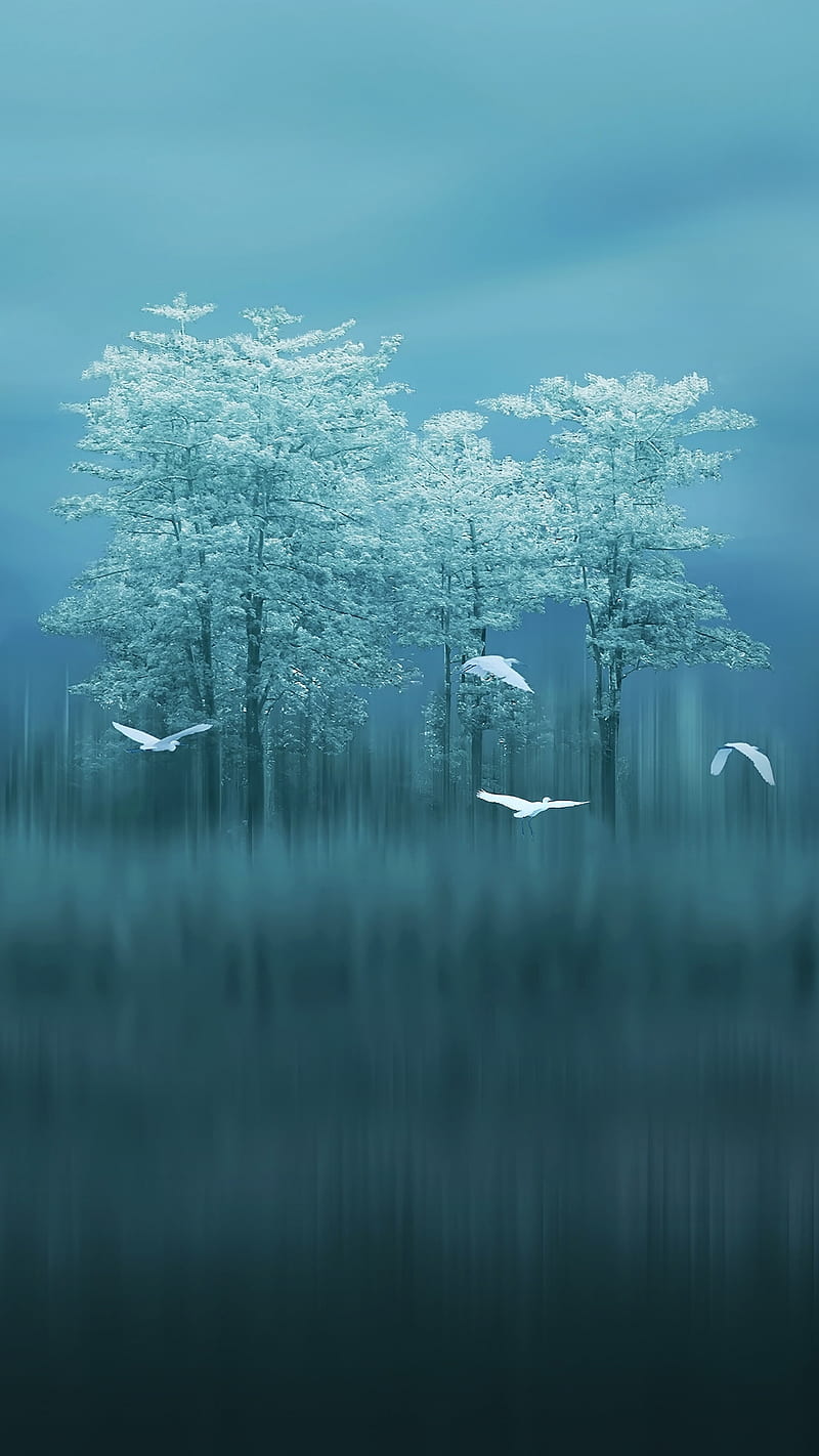 Mate 10, birds, default, fog, huawei, lake, nature, original, stoche, trees, HD phone wallpaper