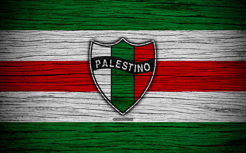 Palestino FC logo, Chilean Primera Division, soccer, football club, Chile, Palestino, wooden texture, FC Palestino, HD wallpaper
