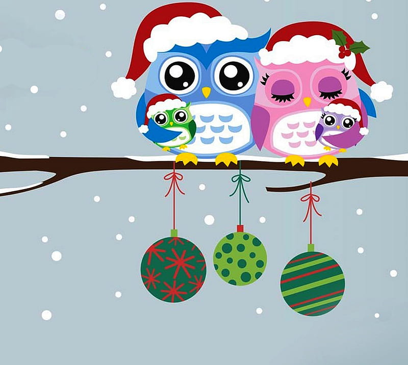 owls, merry, merry christmas, xmas, HD wallpaper