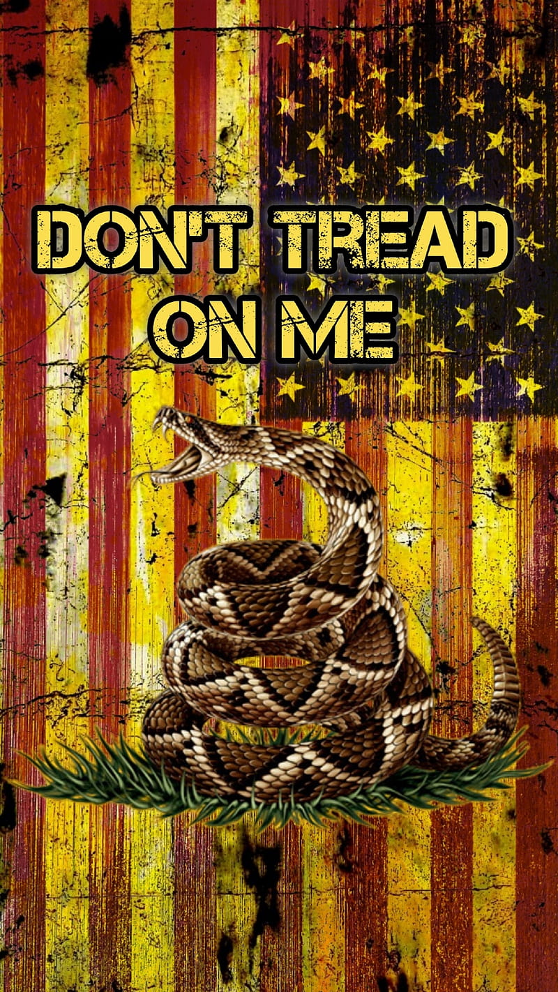 Download Dont Tread On Me  Dont Tread On Me Wallpaper  Wallpaperscom