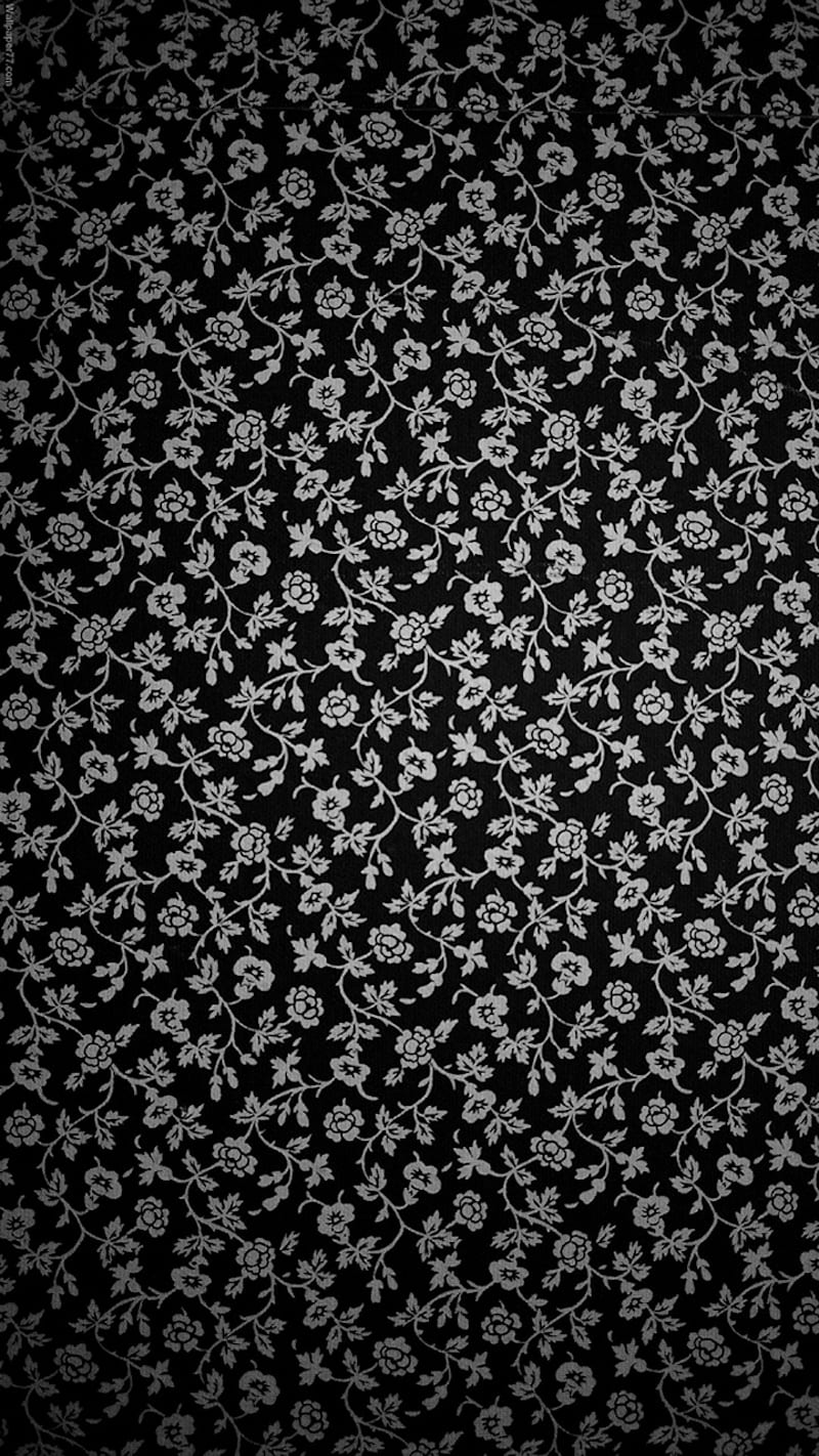 Black Wallflowers, flowers, HD phone wallpaper