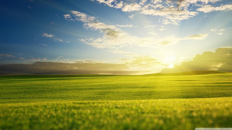 Green field, sun, grass, dusk, sunset, clouds, green sunrise, light, dawn, sunlight spring, sky, rays, summer, rays of light, sunshine, nature, scene, field, landscape, HD wallpaper