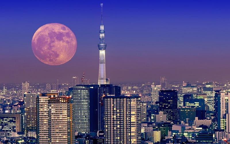 Tokyo City, japanese, buildings, japan, moon, city, tokyo, tower, cityscapes, scenery, night, HD wallpaper