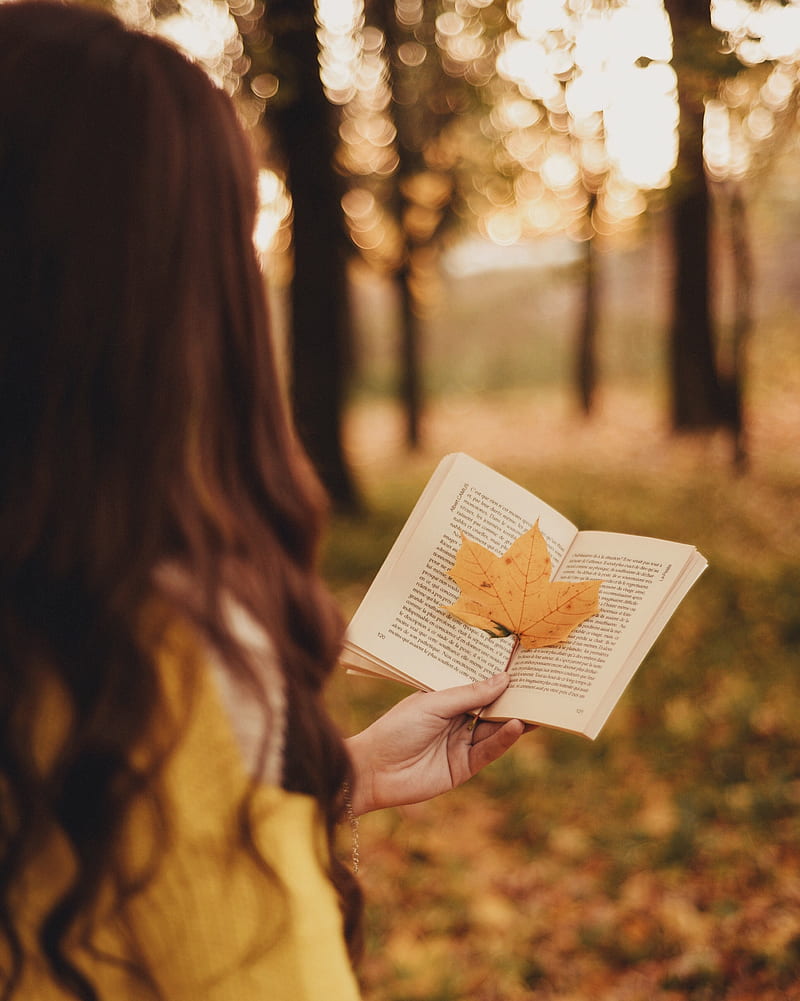 book, leaf, hand, autumn, blur, HD phone wallpaper