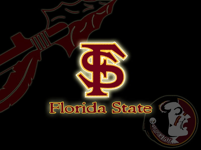 Florida State Seminoles, florida, fsu, florida state university, football, florida state, state, seminoles, HD wallpaper
