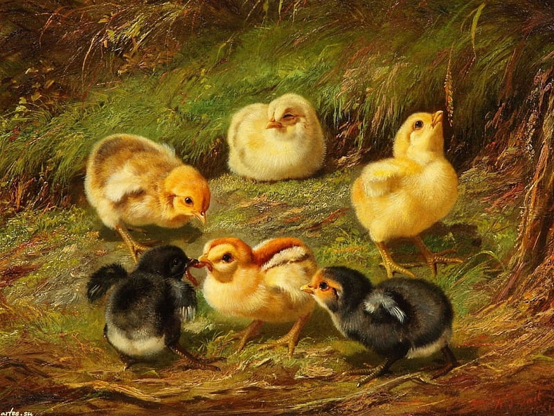 Easter Chicken, lovely, bird, brown, painting, yellow, artwork, HD wallpaper