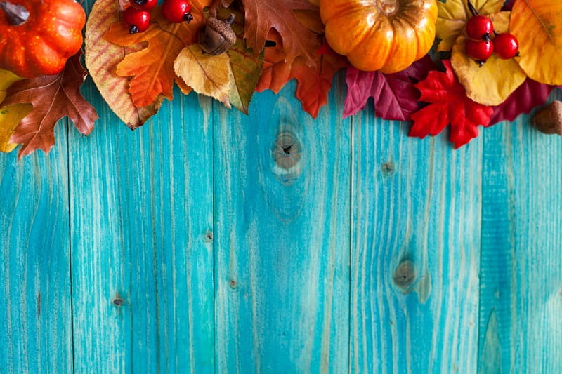 Autumn Leaves, fall, autumn, harvest, leaves, pumpkin, wood, HD wallpaper