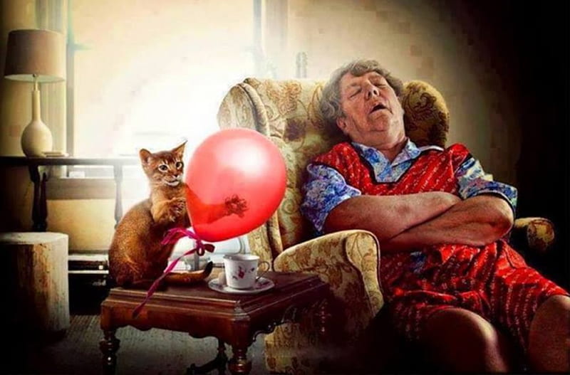 Balloon Alarm, balloon, naughty, man, funny, cat, alrm, sleeping, HD wallpaper