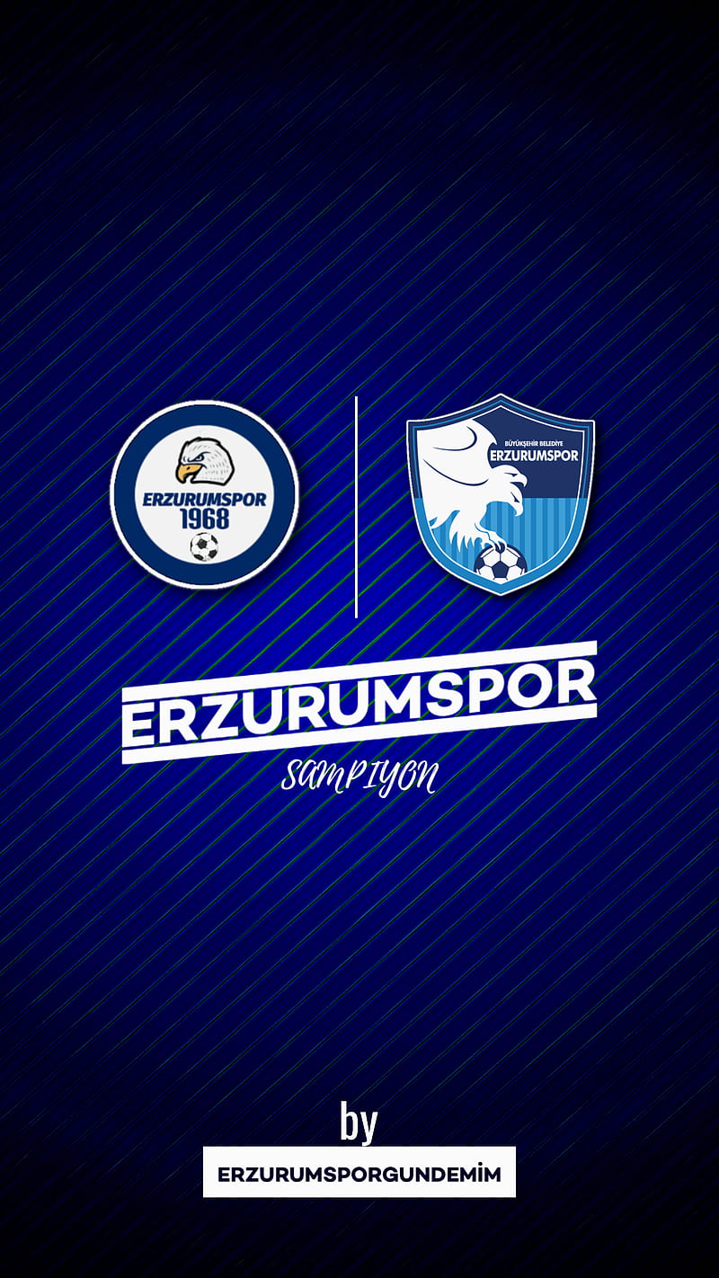 Erzurumspor, erzurum, logo, HD phone wallpaper