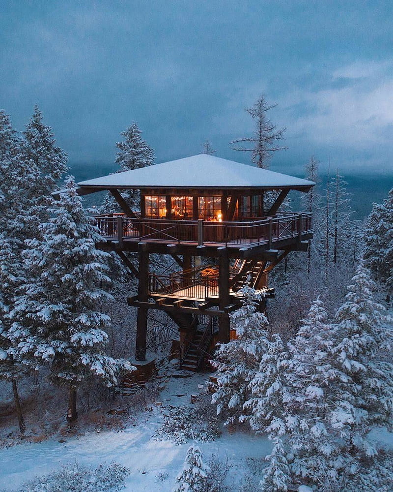 cabin, architecture, forest, snow, HD phone wallpaper