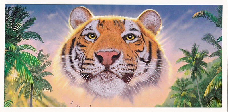 A Tigerhead, i, e, r, t, g, HD wallpaper