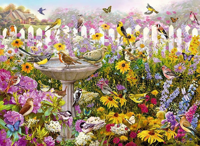 MY BACK YARD BIRDS, back, birds, flowers, blooms, yard, HD wallpaper