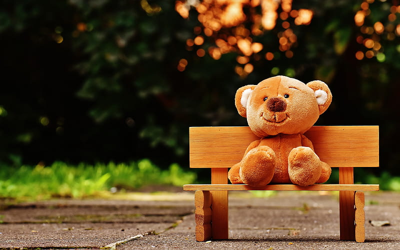 teddy bear bench, park, creative, toy, HD wallpaper