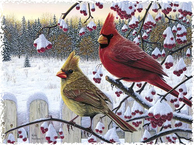 Cardinals in the Snow F2, art, norlien, artwork, animal, kim norlien