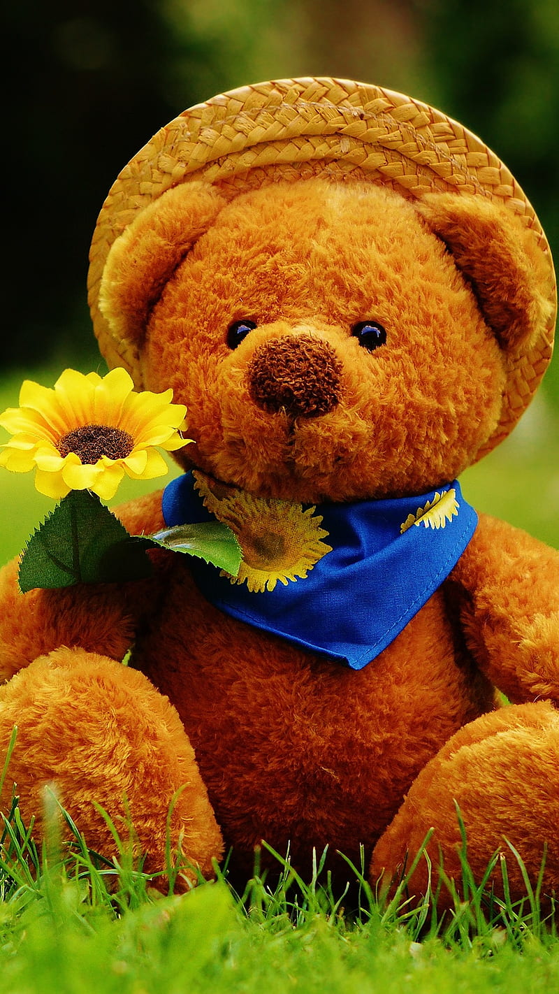 Cute Teddy Bear, HD phone wallpaper