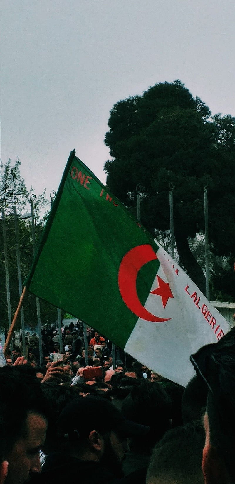 123 viva l algerie, 2019, airplane, algeria, aviation, black, flight, logo, navy, seal, star, HD phone wallpaper