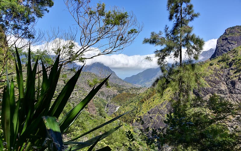 Cilaos, Reunion Island, trees, sky, hills, plants, clouds, HD wallpaper