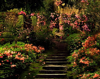 40,900+ Enchanted Garden Stock Photos, Pictures & Royalty-Free Images -  iStock | Enchanted garden path