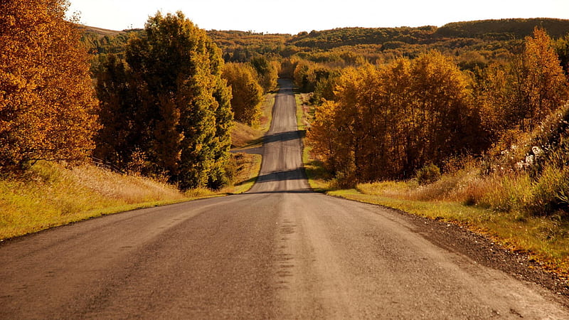 The Long Road Ahead, country road, road, long road, HD wallpaper