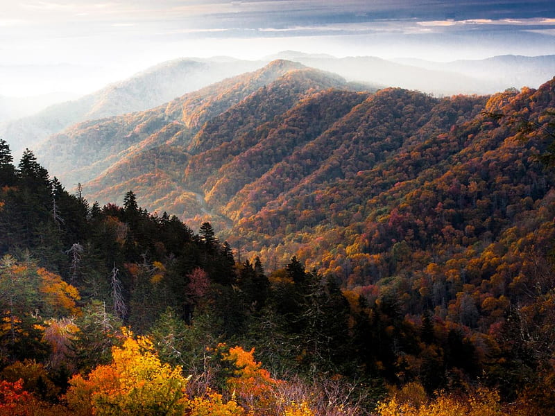 Autumn in Great Smoky Mountains, Shenandoah Valley, fall, colors, Virginia, season, mist, HD wallpaper