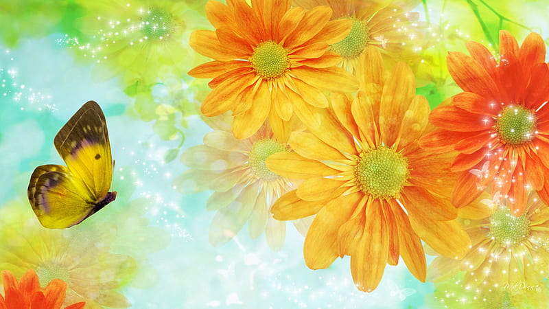 Gerberas Wild, gerberas, orange, yellow, spring, daisies, butterfly, green, bright, summer, HD wallpaper
