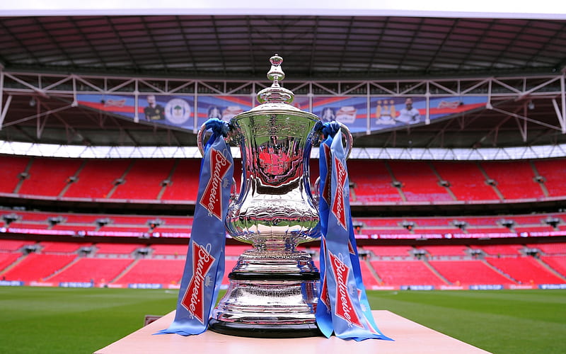 FA Cup, England, football, soccer cup, Trophy, HD wallpaper