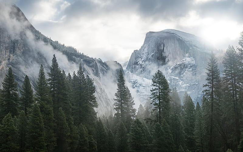 Yosemite National Park mountains, fog, forest, Yosemite, Sierra Nevada, USA, America, HD wallpaper