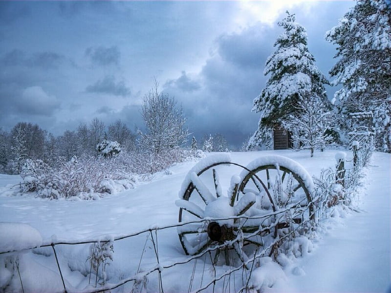 Winter Scenery, fence, trees, snow, wheels, HD wallpaper