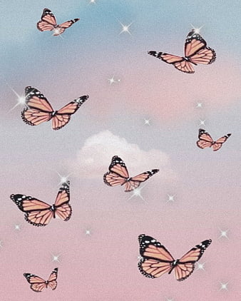 100 Cute Pink Butterfly Wallpapers  Wallpaperscom