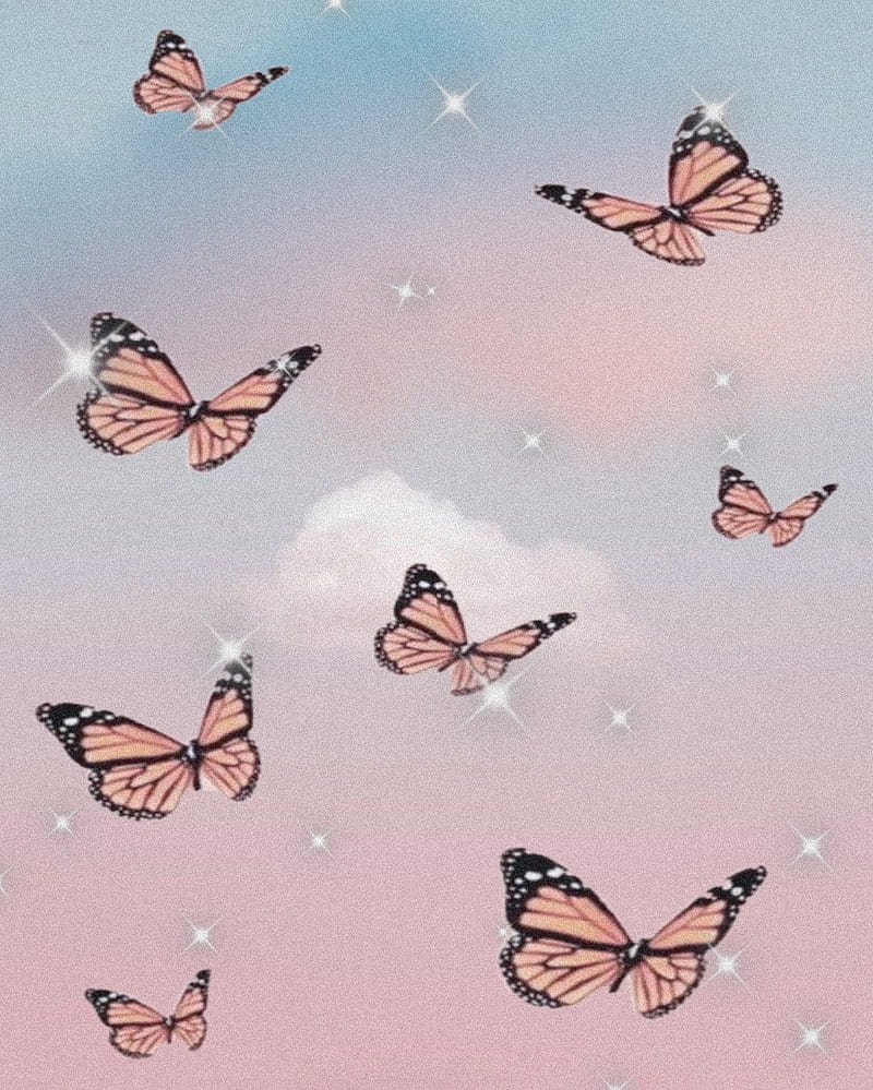 Butterfly, aesthetic, cute, HD phone wallpaper | Peakpx