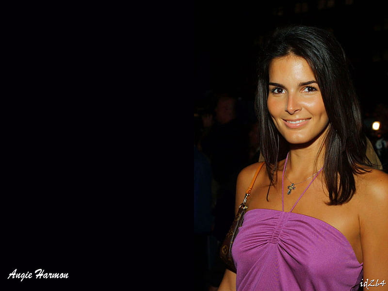 Angie Harmon, angie, actress, hollywood, beauty, law, harmon, order, HD wallpaper