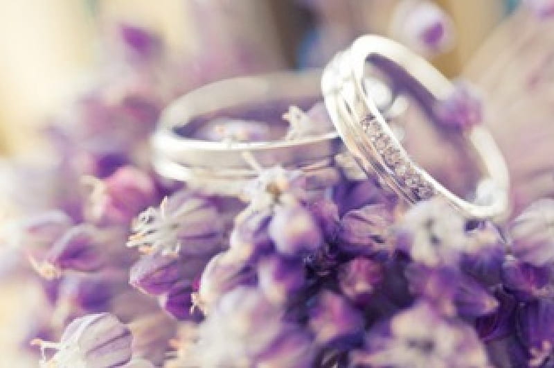 Wedding, rings, flowers, purple bouquet, HD wallpaper
