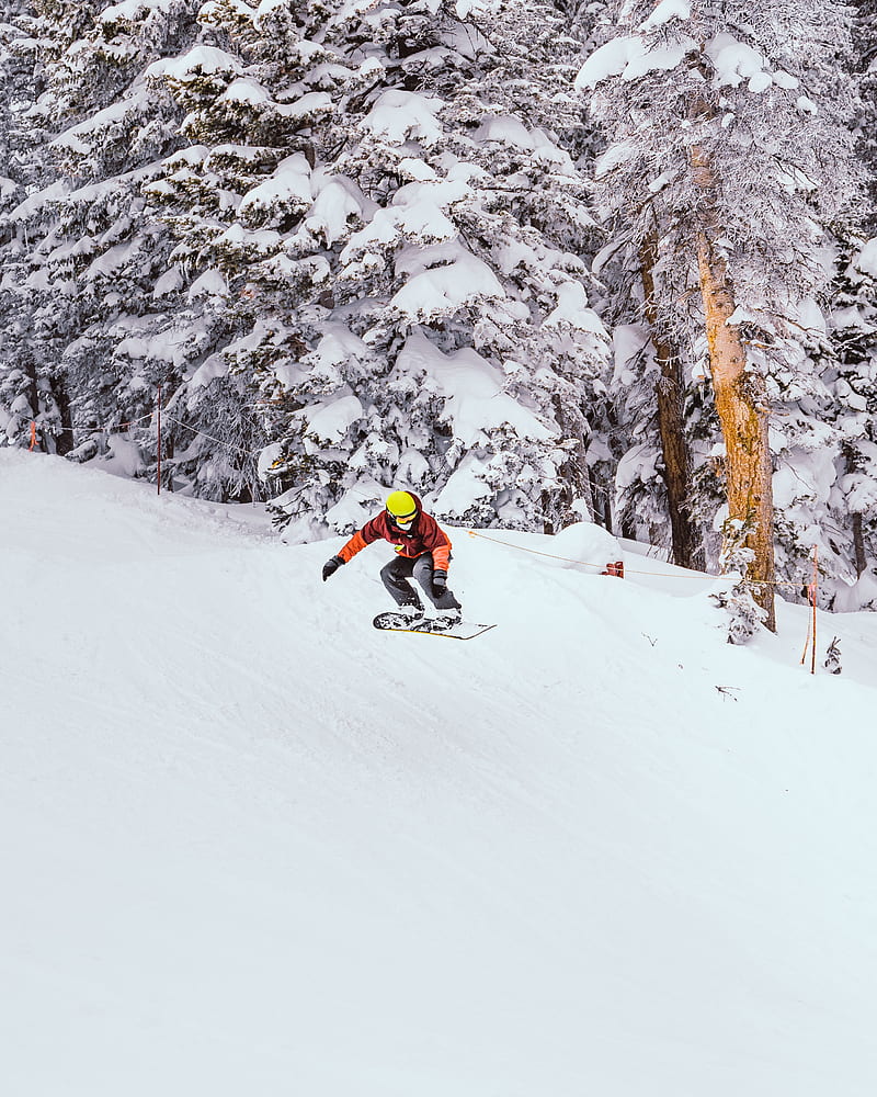 snowboard, snowboarder, jump, snow, trees, winter, HD phone wallpaper