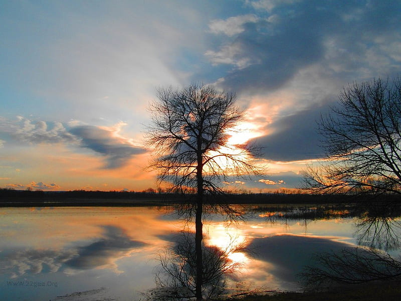 Kupa River Sunset Croatia, kupa, tree, croatia, sunset, sky, HD ...