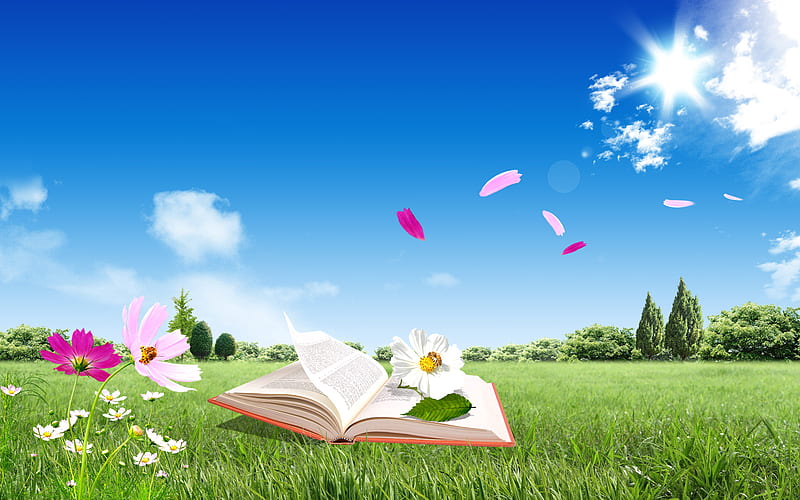 So Beautiful, sun, grass, book, magic, clouds, nice, splendor, flowers, beauty, lovely, sky, trees, happy, sunrays, rays, white, daisy, landscape, field, red, colorful, romatic, bonito, still life, graphy, green, pink, blue, cloud, view, sunlight, colors, spring, daisies, tree, flower, peaceful, petals, nature, HD wallpaper