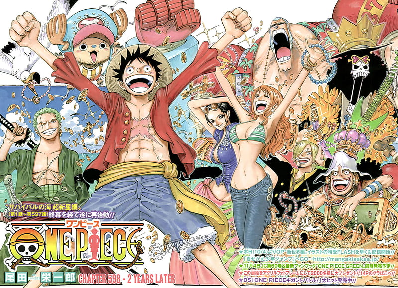 One Piece 2 Years Later, zoro and usopp, nami, luffy, nico, franky, brook, chopper, one piece, HD wallpaper